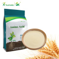 80% Amino Acid Plant Source Organic Fertilizer